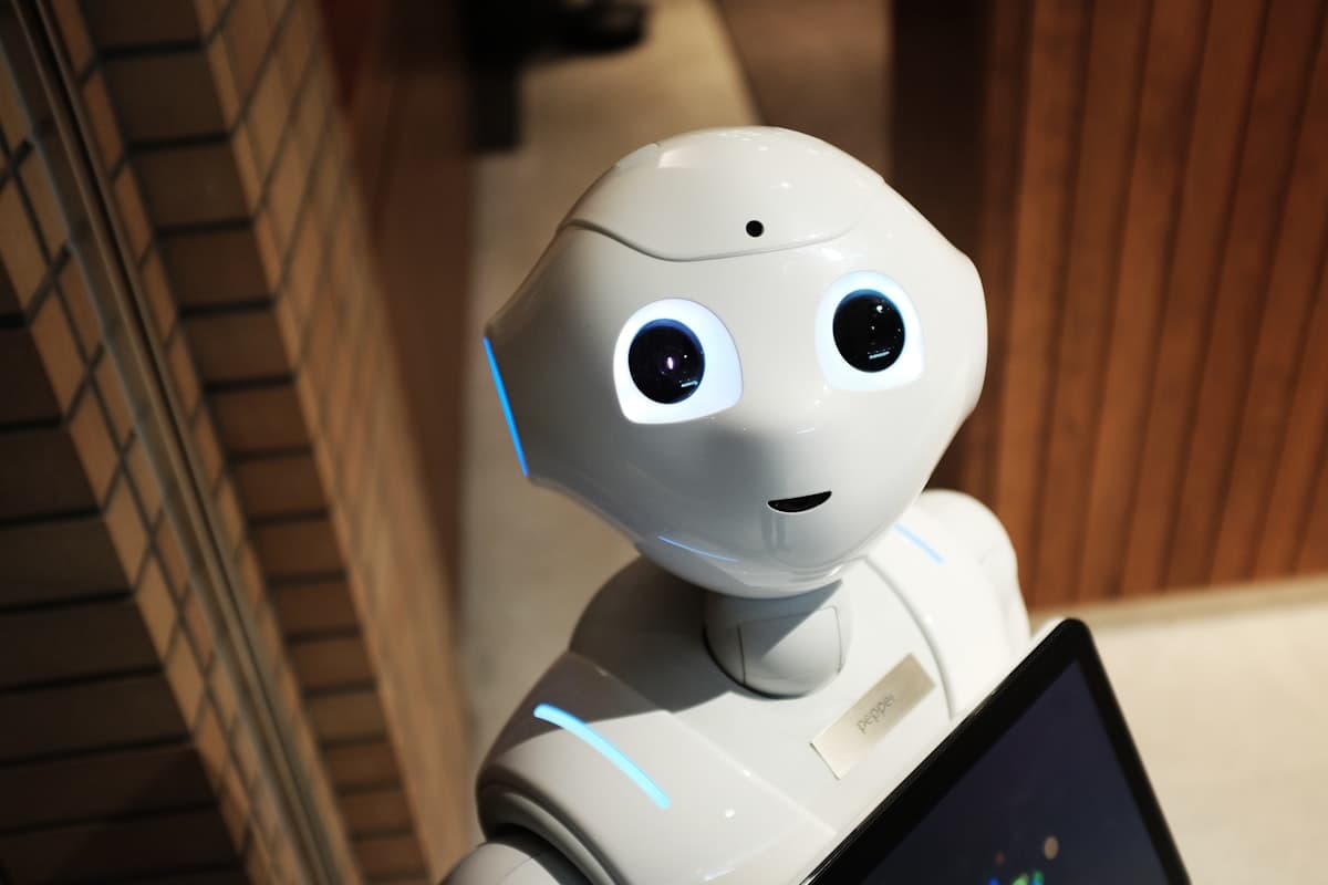 AI & Machine Learning Solutions